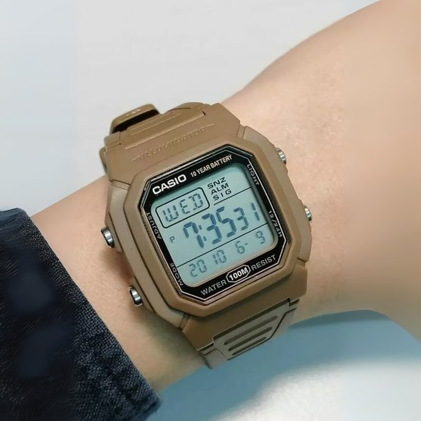 Casio Resin W-800H-5AVDF